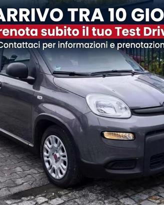 Fiat Panda 1.0 Hybrid City Life (2022) - SOLO 13.0
