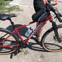 bicicletta Mountain bike