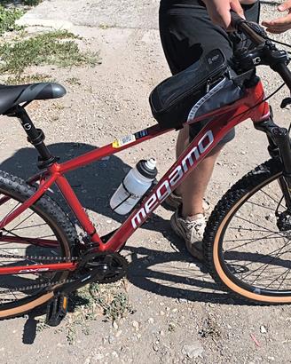 bicicletta Mountain bike