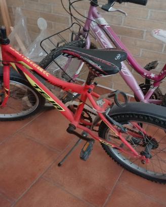 2 bici al prezzo di 150 xome nuove