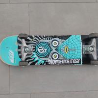 Skateboard
