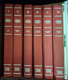 Grande Dizionario Medico Fabbri (6 volumi)