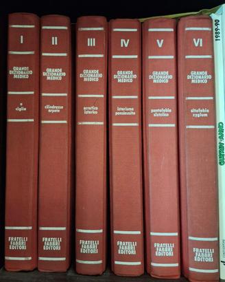 Grande Dizionario Medico Fabbri (6 volumi)