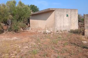 Terreno con casa