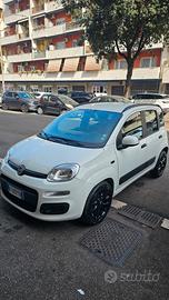 fiat panda diesel