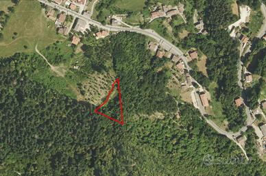 Terreno comune Bagno di Romagna
