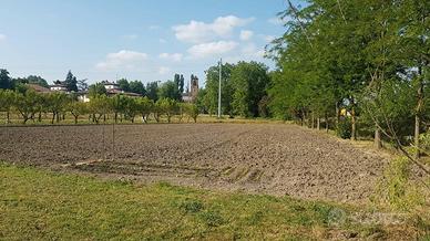 Terreno agricolo