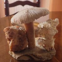 Decorazione minerale 