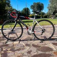 Bici da corsa Torpado Destriro T340