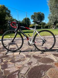 Bici da corsa Torpado Destriro T340