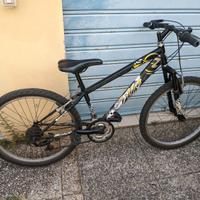 bicicletta mountain bike ragazzo