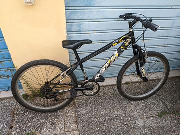 bicicletta mountain bike ragazzo