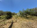 ter-agricolo-a-agropoli