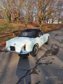 Giulia Spider 1964