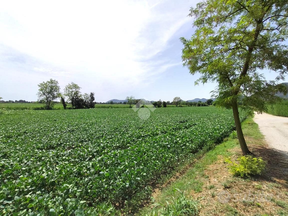 TER. AGRICOLO A ROVOLON - Altro