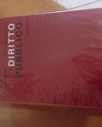 diritto pubblico 