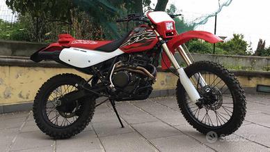 Xr600