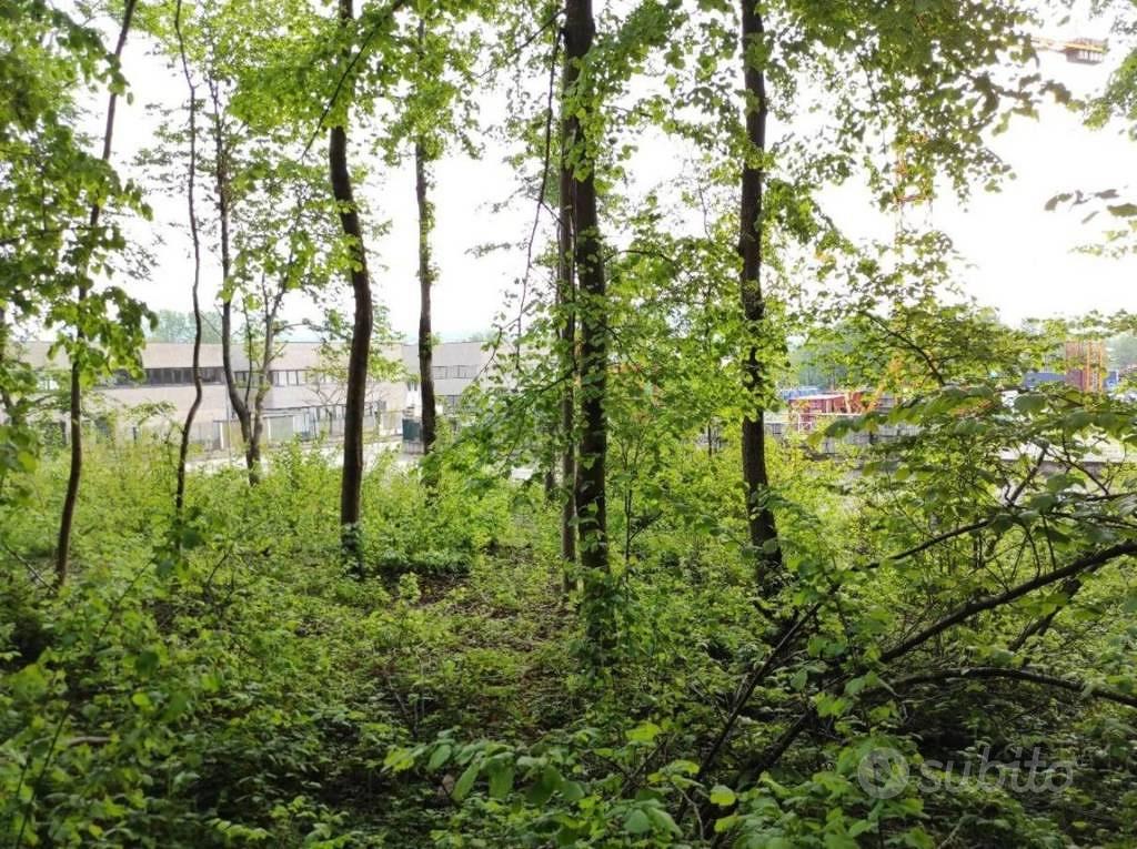 Immobile in asta di 3501 m² a Valmorea - Vista 3