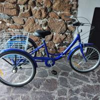 Triciclo per Adulti