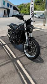 Benelli Leoncino 500 Trail