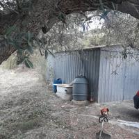 Terreno uliveto zona Fuondi Agropoli