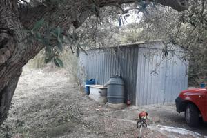 Terreno uliveto zona Fuondi Agropoli