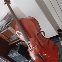 Violoncello