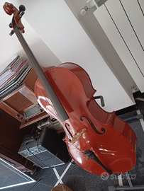 Violoncello