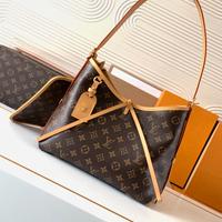 borsa a mano piccola lv CarryAll