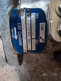 pompa gasolio cav