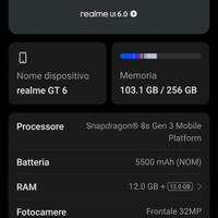 realme GT6 12/256 GB 