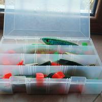 cassetta di esche da luccio