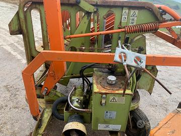 Tagliaballoni wolagri