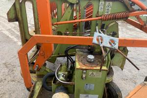 Tagliaballoni wolagri