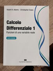 Calcolo differenziale 1