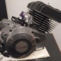 motore Benelli 125 2c