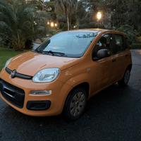 Fiat Panda 1.2 69cv Benzina - UNICOPROPRIETARIO