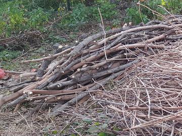 Legname taglio medio