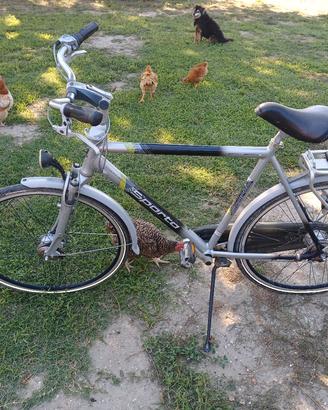 bici da uomo olandese
