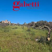 Terreno agricolo in contesto abitato Ter/57