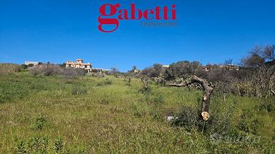 Terreno agricolo in contesto abitato Ter/57