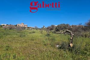 Terreno agricolo in contesto abitato Ter/57