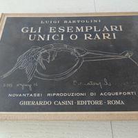 Gli Esemplari unici o rari di luigi bartolini