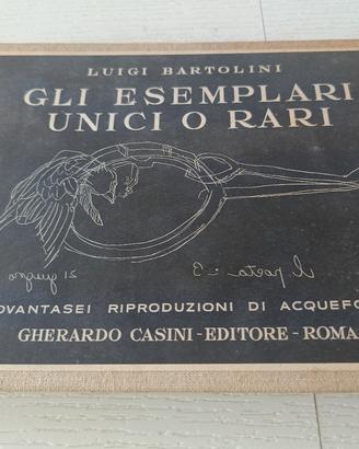 Gli Esemplari unici o rari di luigi bartolini