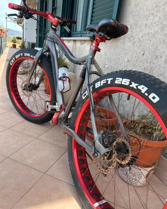 Bicicletta