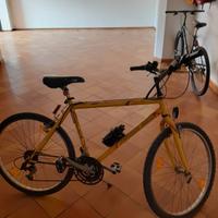 bici mountanbike da donna