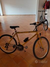 bici mountanbike da donna