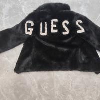 pelliccia Guess