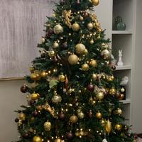 Albero di Natale H. 210 cm