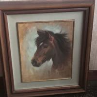 Testa cavallo, olio, Sergio Budicin